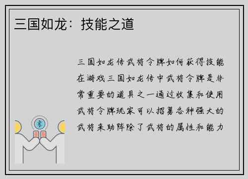 三国如龙：技能之道