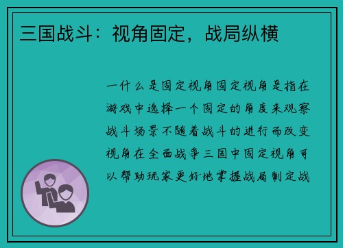 三国战斗：视角固定，战局纵横